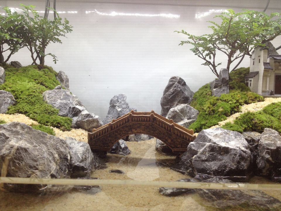 室内小桥流水人工景观图片