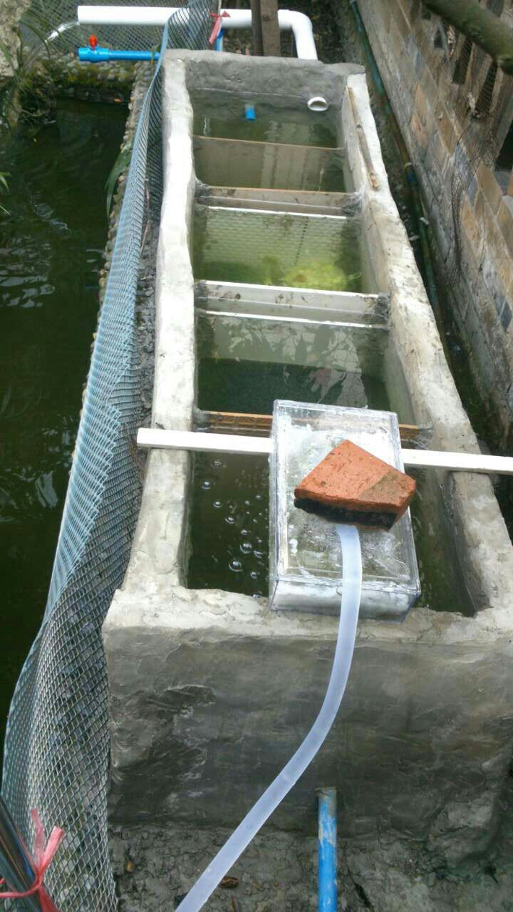 农村自制过滤水装置图片