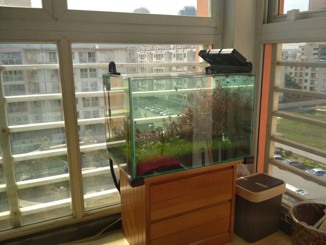 鱼缸放在阳台图片