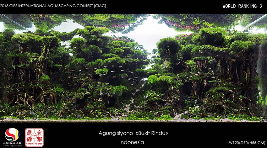 3-Agung siyono Indonesia.jpg