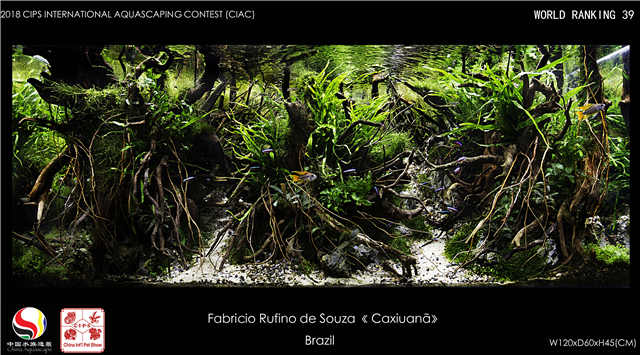 39-Fabricio Rufino de Souza Brasil.jpg