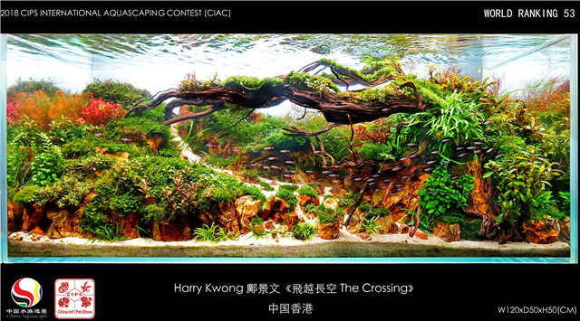 53-Harry Kwong  й.jpg