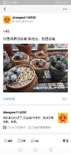 Screenshot_20190301_135914_com.taobao.idlefish.jpg