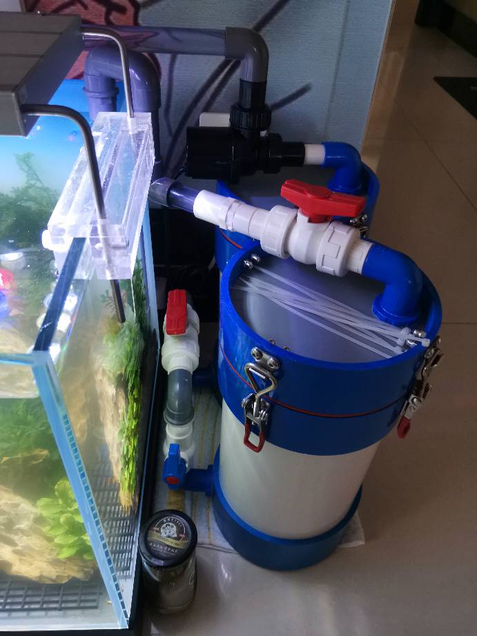 纯净水桶改鱼缸过滤器图片