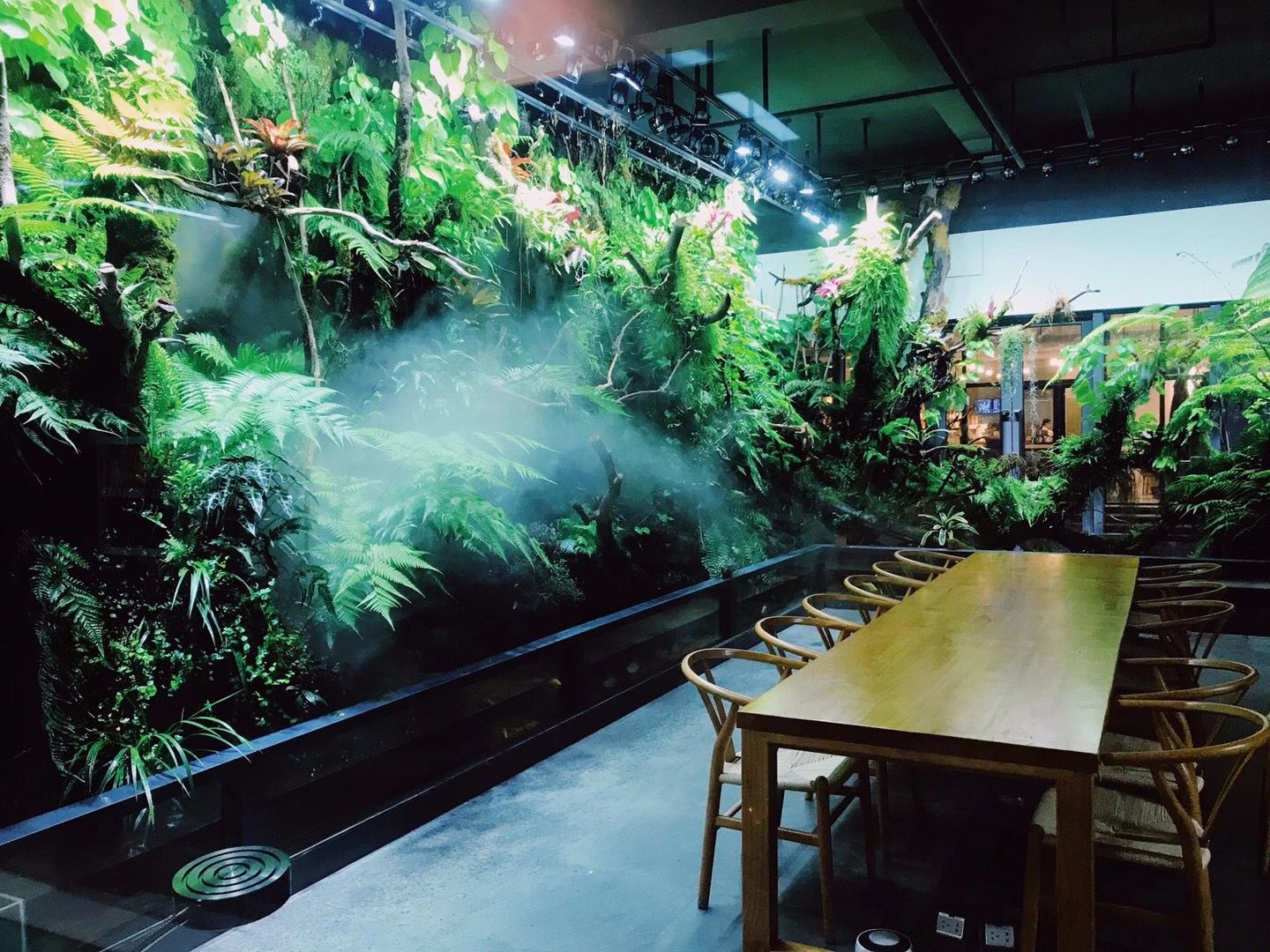 室内热带雨林景观制作图片