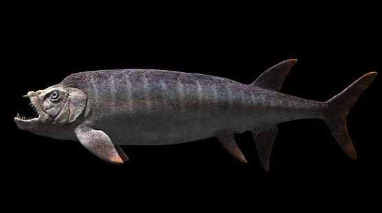 史前巨鱼古古生物